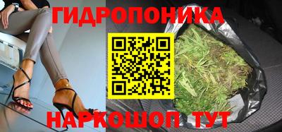 каннабис Гусев